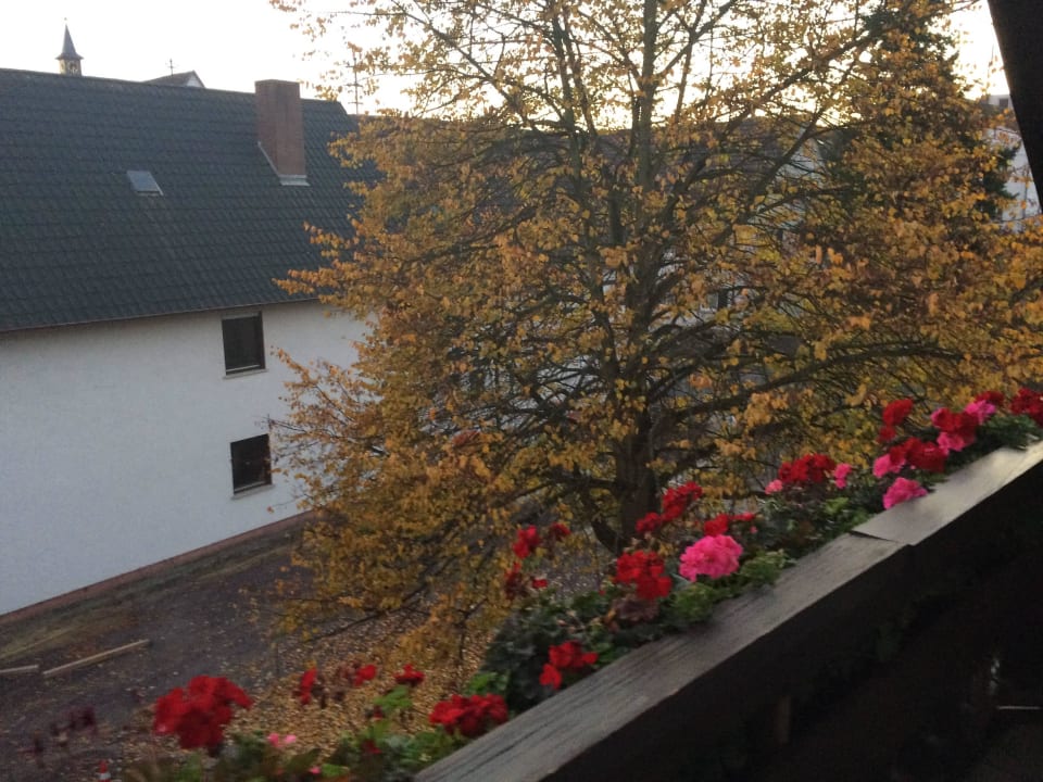 Ausblick Hotel Krone