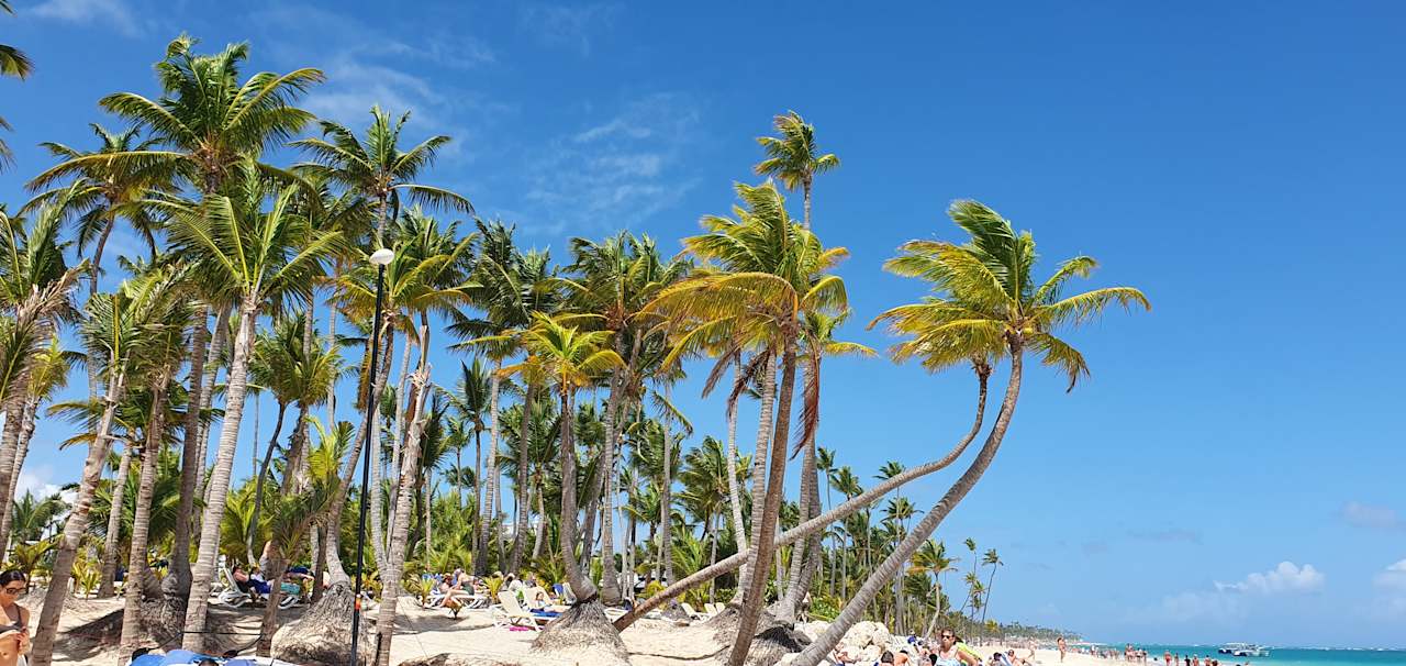 Strand Hotel Riu Palace Bavaro