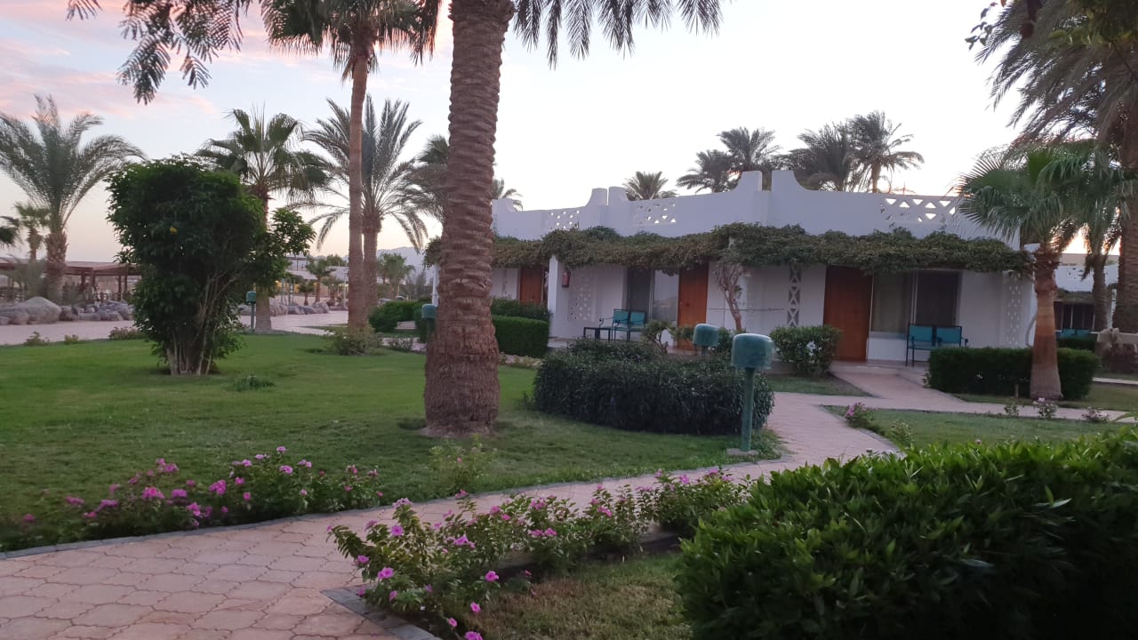 Gartenanlage Shams Safaga Resort