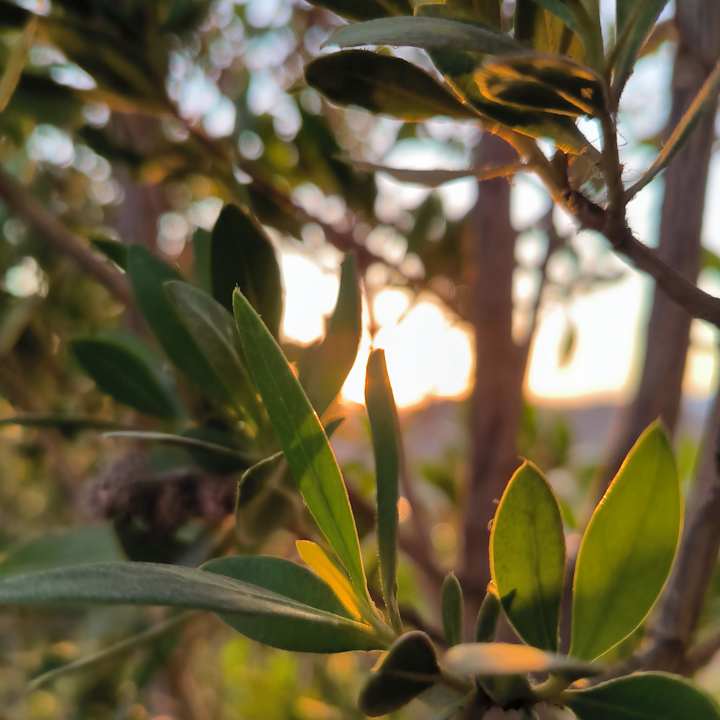 Gartenanlage Cleopatra Luxury Resort Makadi Bay