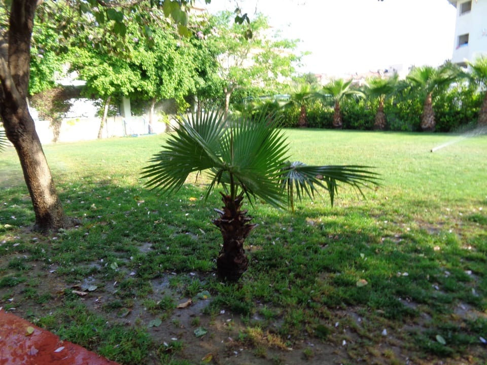 Garten Side Breeze Hotel