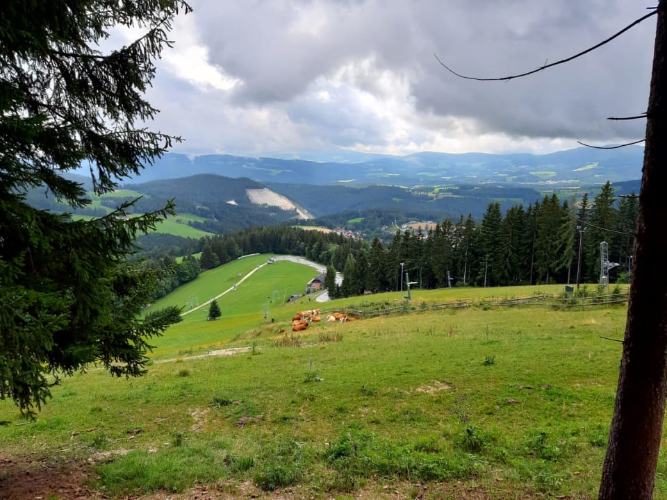 Ausblick Familienhotel Berger