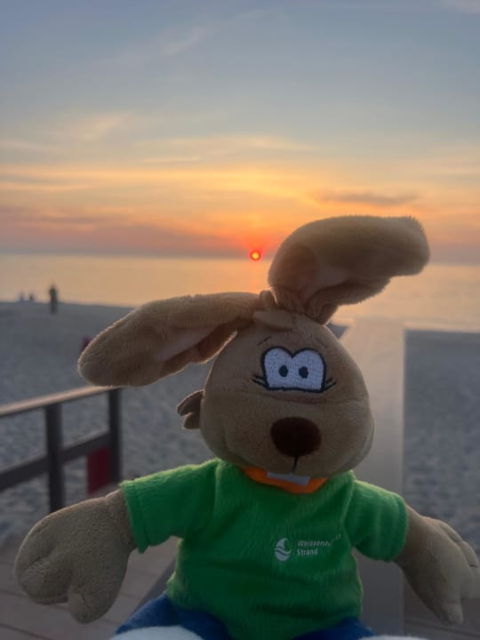 Sonstiges Ferienwohnungen Ferienpark Weissenhäuser Strand