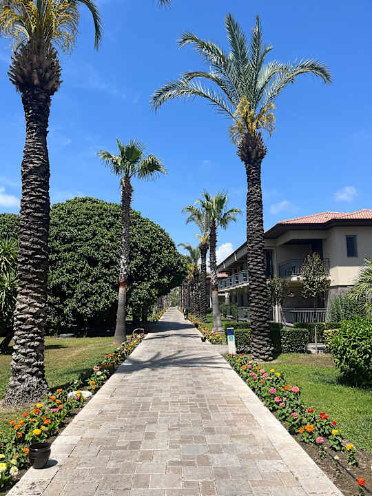 Gartenanlage TUI BLUE Palm Garden