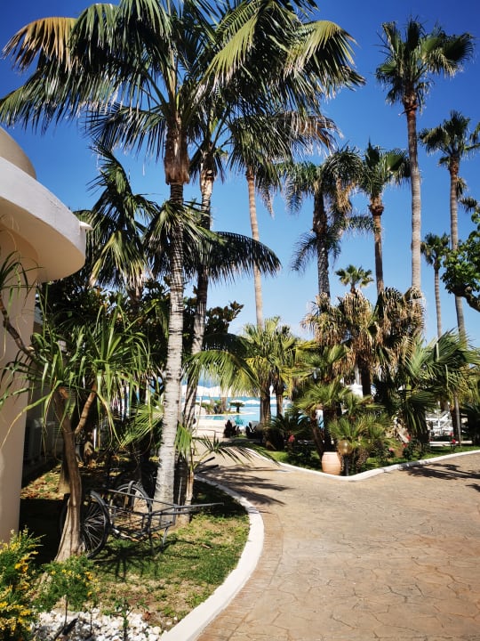 Gartenanlage Hotel Villaggio Il Gabbiano