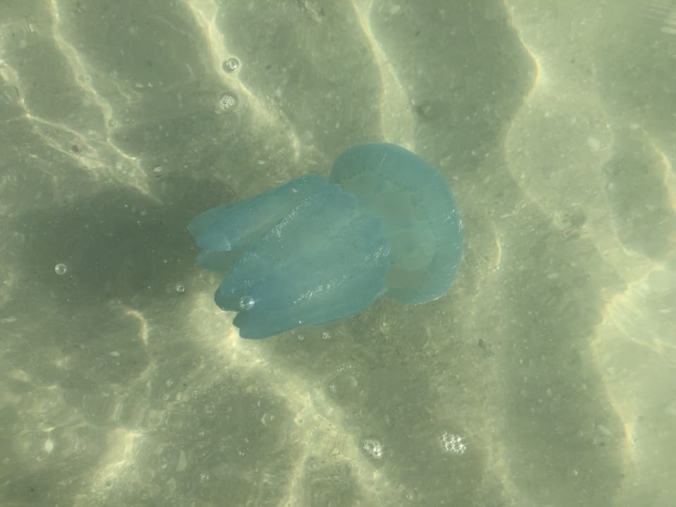 Strand DoubleTree by Hilton Resort & Spa Marjan Island