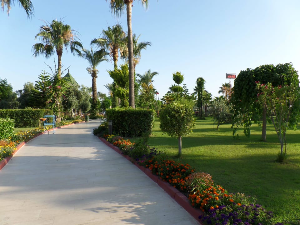 Gartenanlage Saphir Resort & Spa
