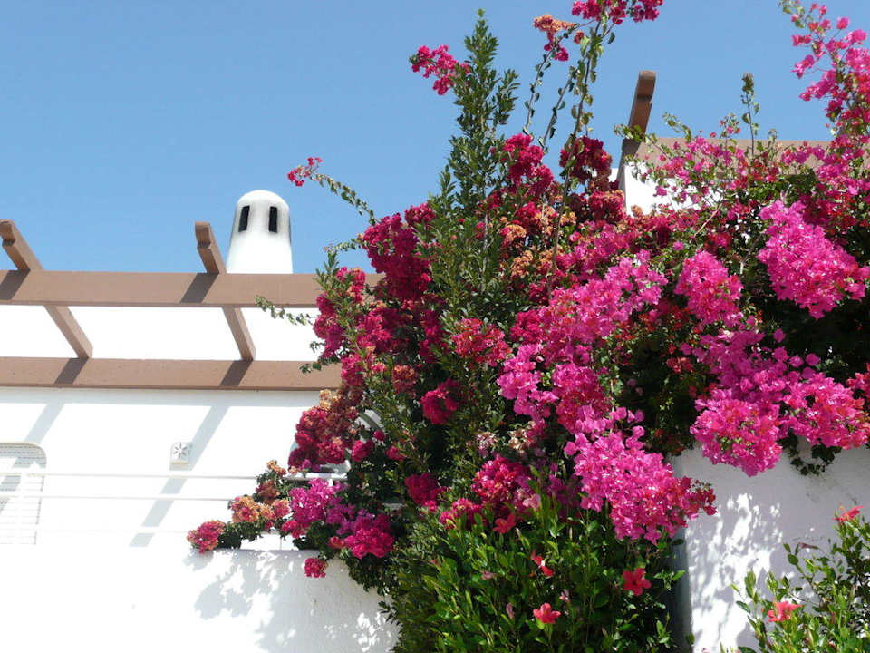 Ausblick vom Pool Hotel Vila Gaivota