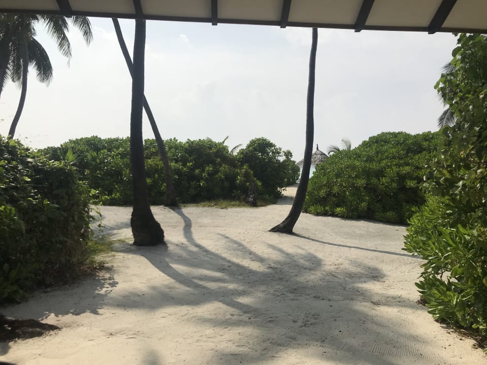 Blick von der Terasse NH Collection Maldives Havodda Resort