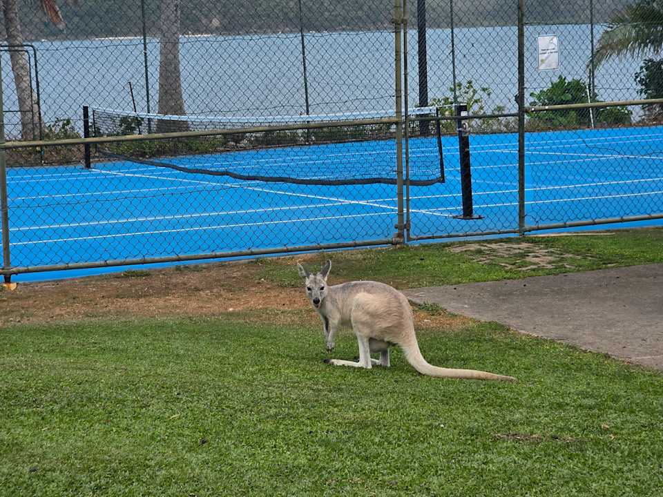 Gartenanlage Daydream Island Resort and Spa