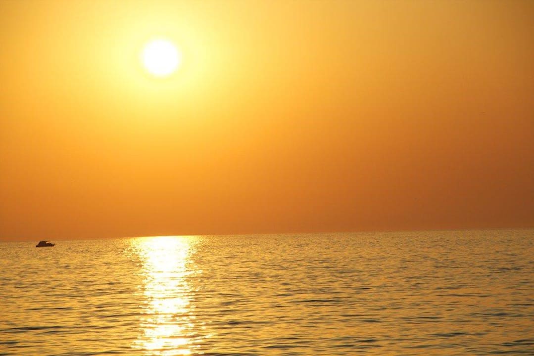 Von der Terrasse BO Hotel Palazzo