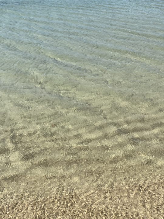 Strand The Orangers Beach Resort and Bungalows