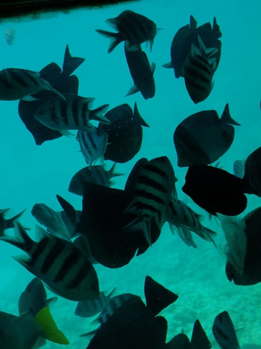 Sport & Freizeit Grand Makadi