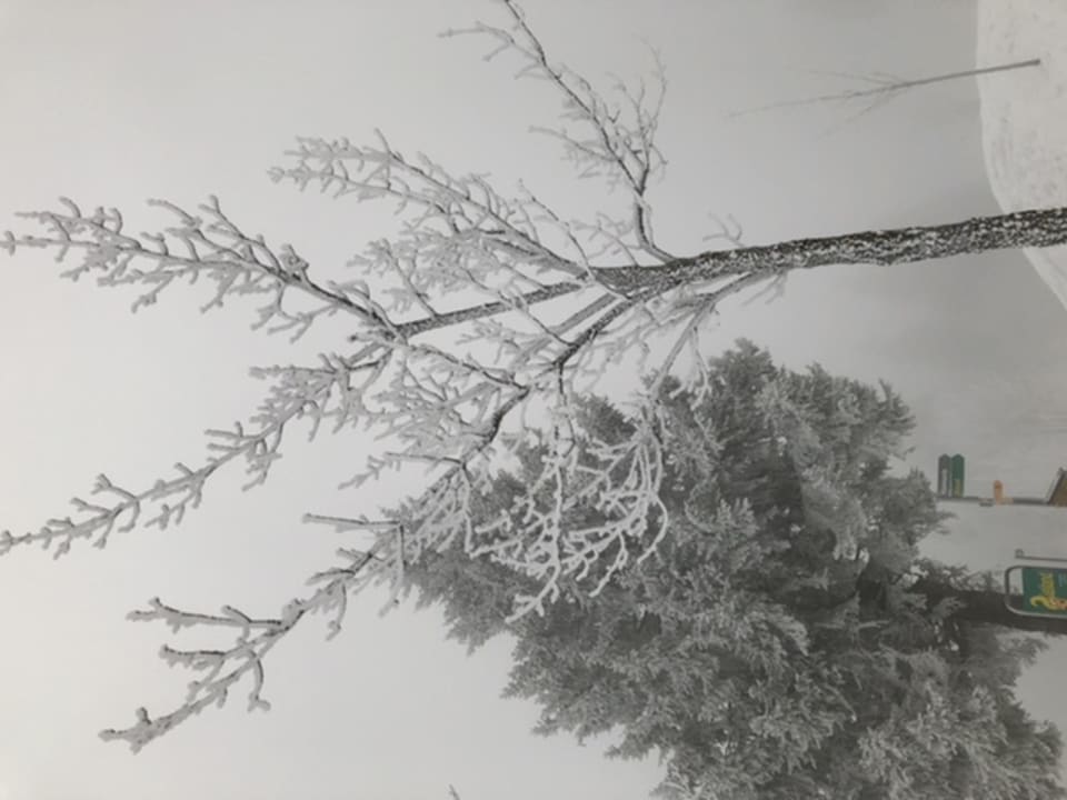 Gartenanlage Rigi Kaltbad Swiss Quality Hotel