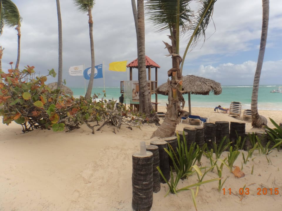 Hotel Grand Palladium Bávaro Suites Resort & Spa Grand Palladium Select Bávaro Resort & Spa