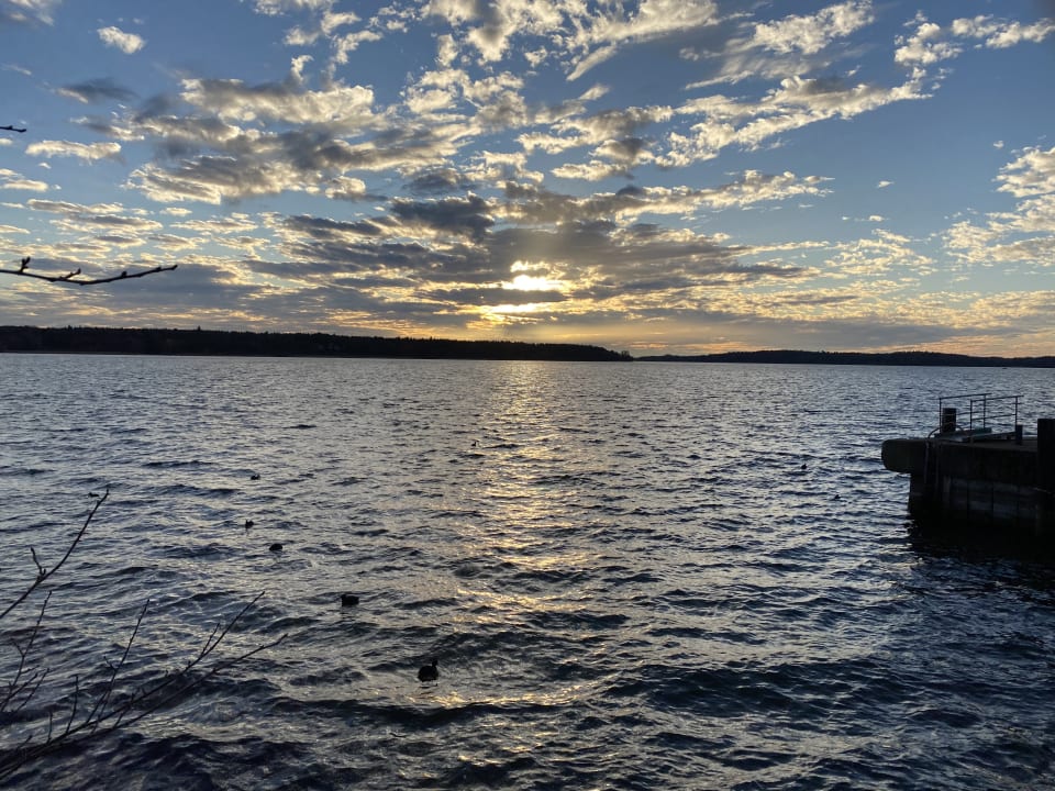 Ausblick SPA Hotel Amsee
