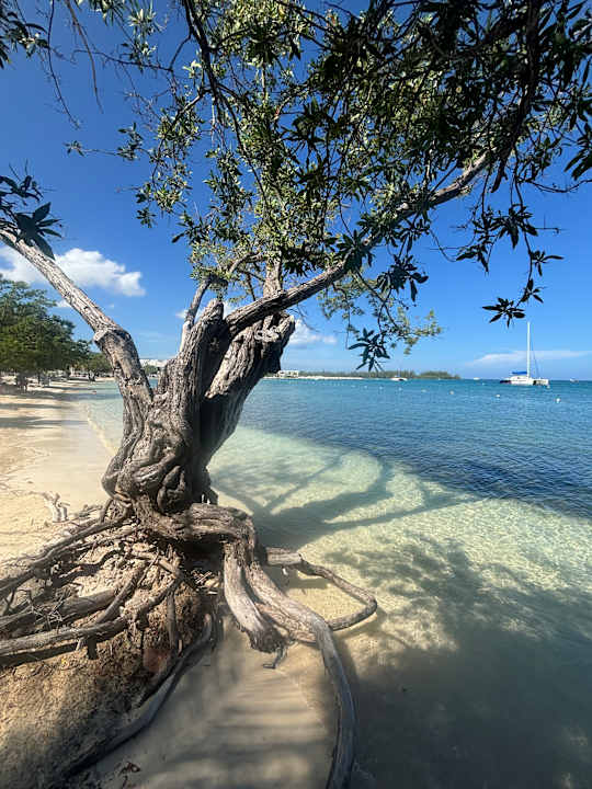 Strand Riu Montego Bay - Adults Only