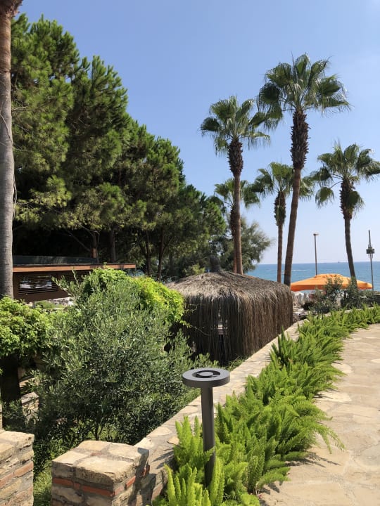 Gartenanlage Arum Barut Collection