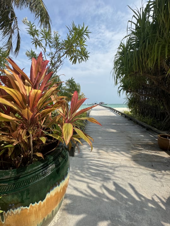 Gartenanlage Atmosphere Kanifushi Maldives