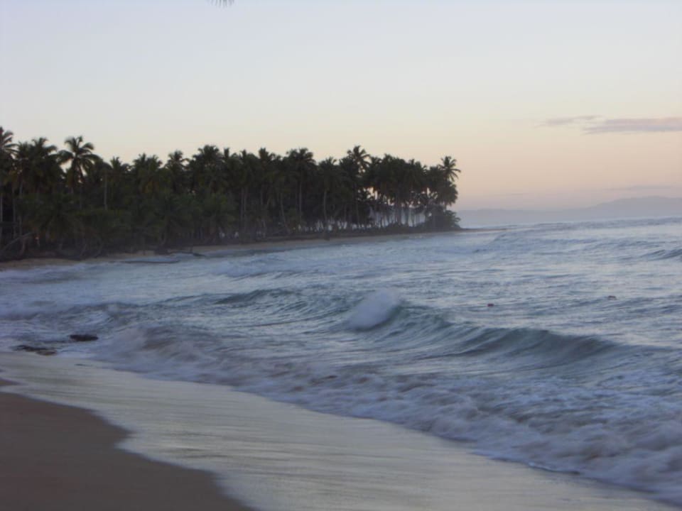 Hotelstrand Viva V Samana by Wyndham – Adults Only
