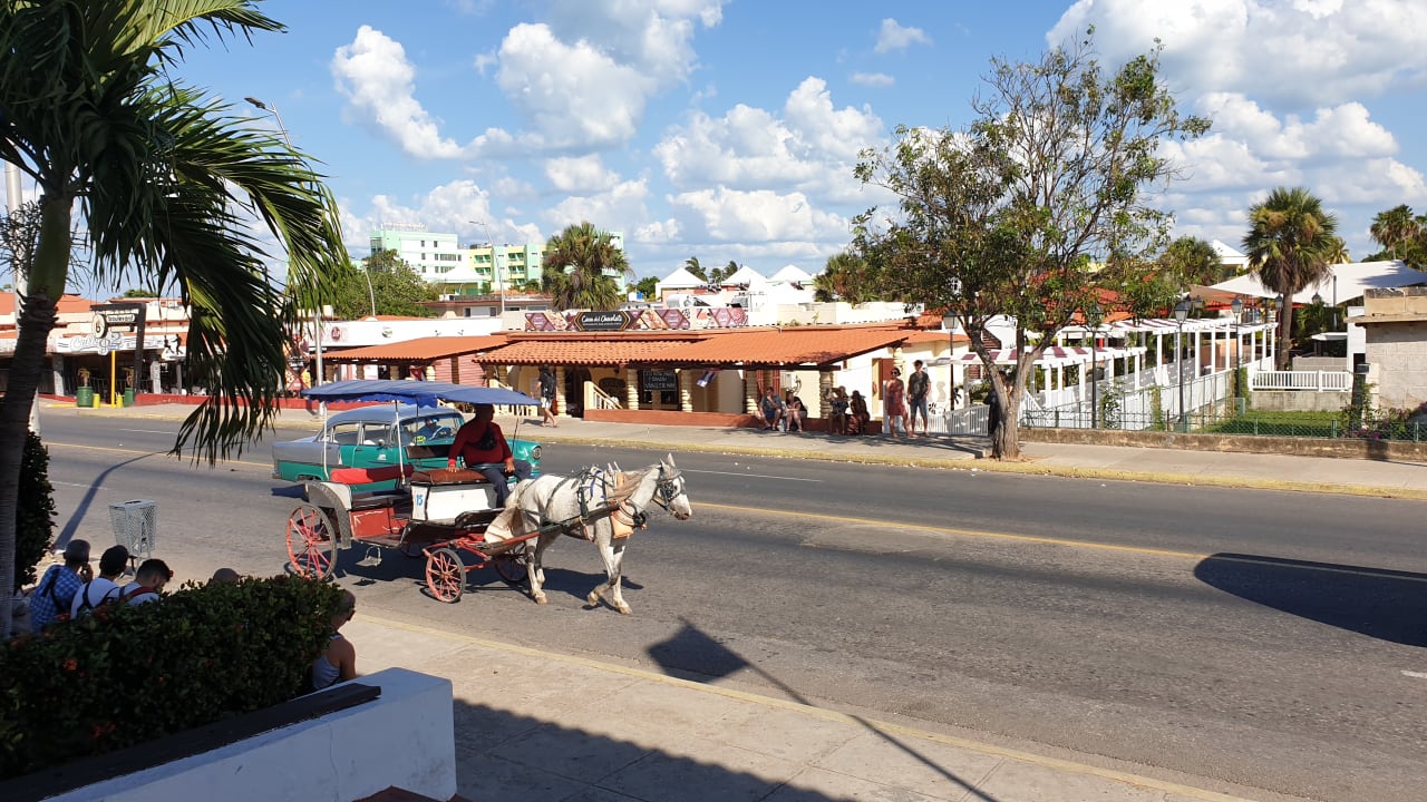 Ausblick Starfish Cuatro Palmas
