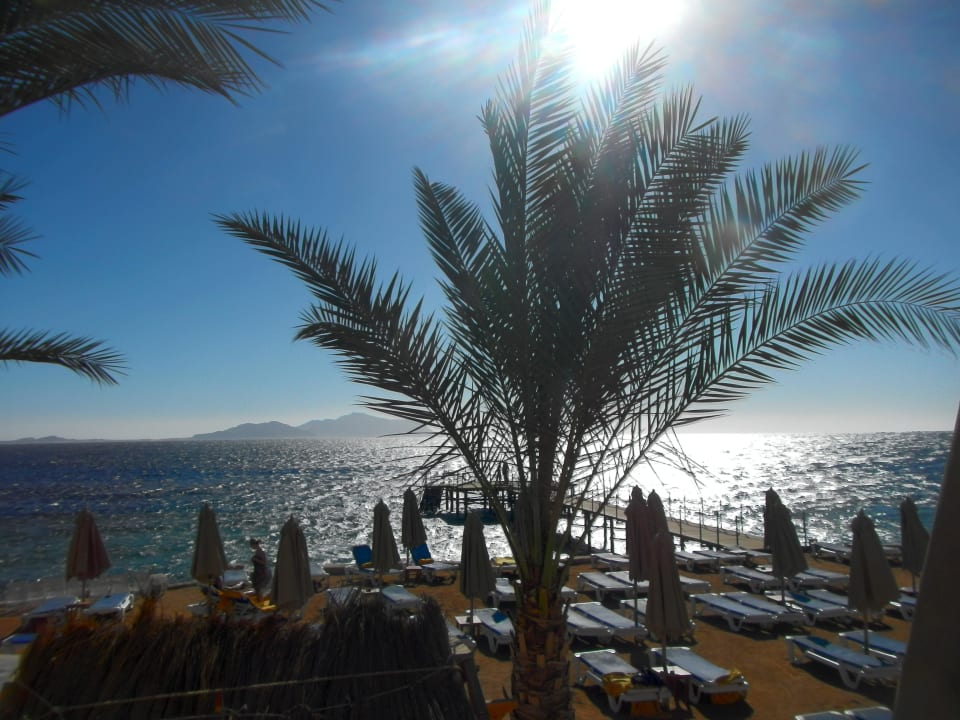 Blick auf den Strand Hotel Xperience Sea Breeze Resort