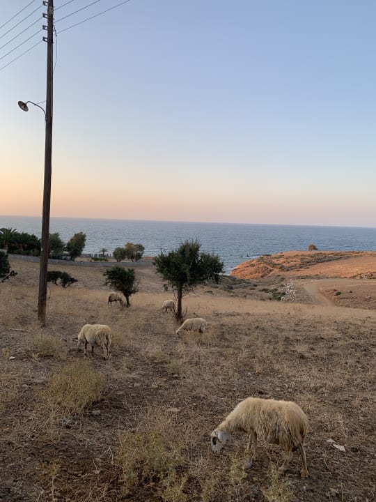 Ausblick Hotel Stella Beach