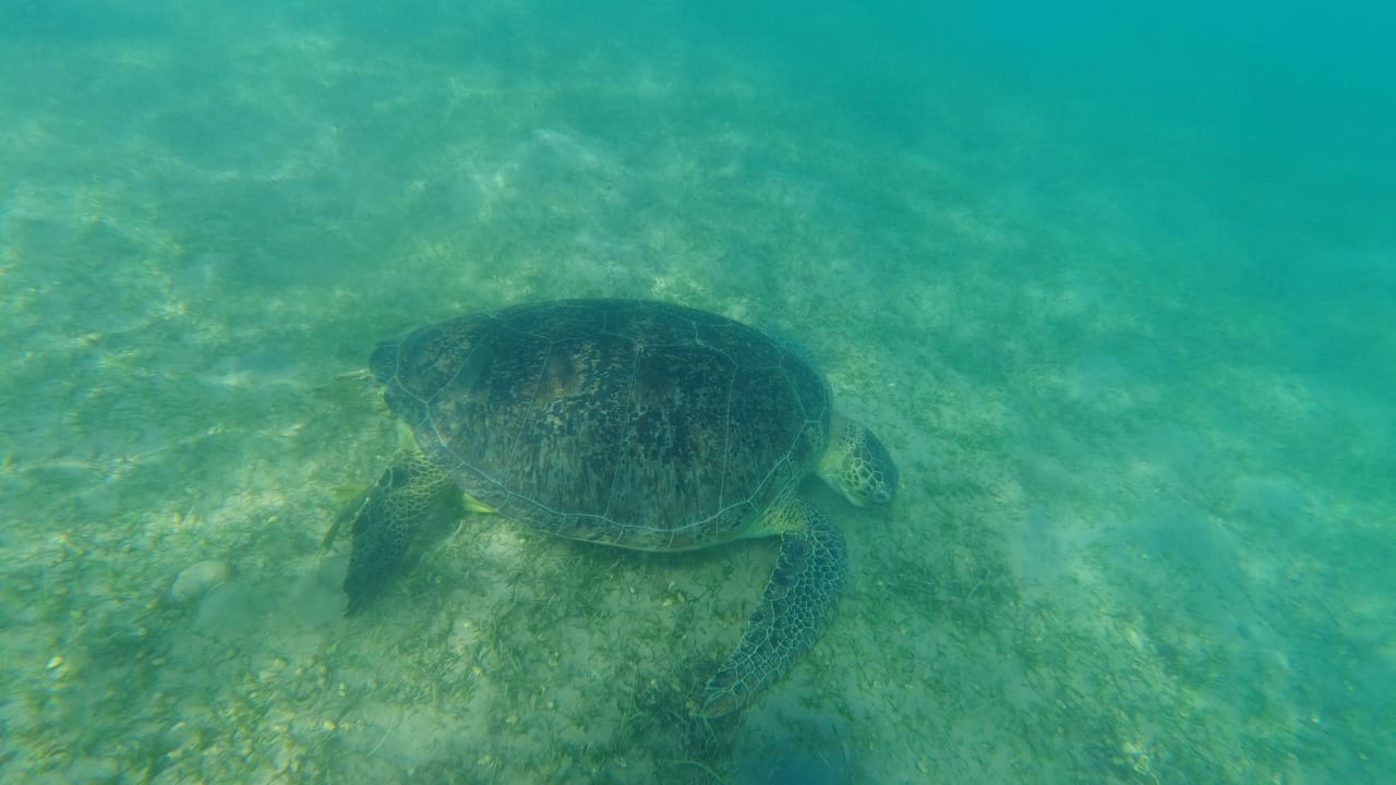 Strand Amarina Abu Soma Resort & Aquapark