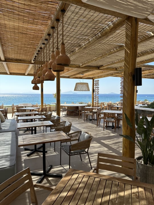 Gastro Mitsis Norida