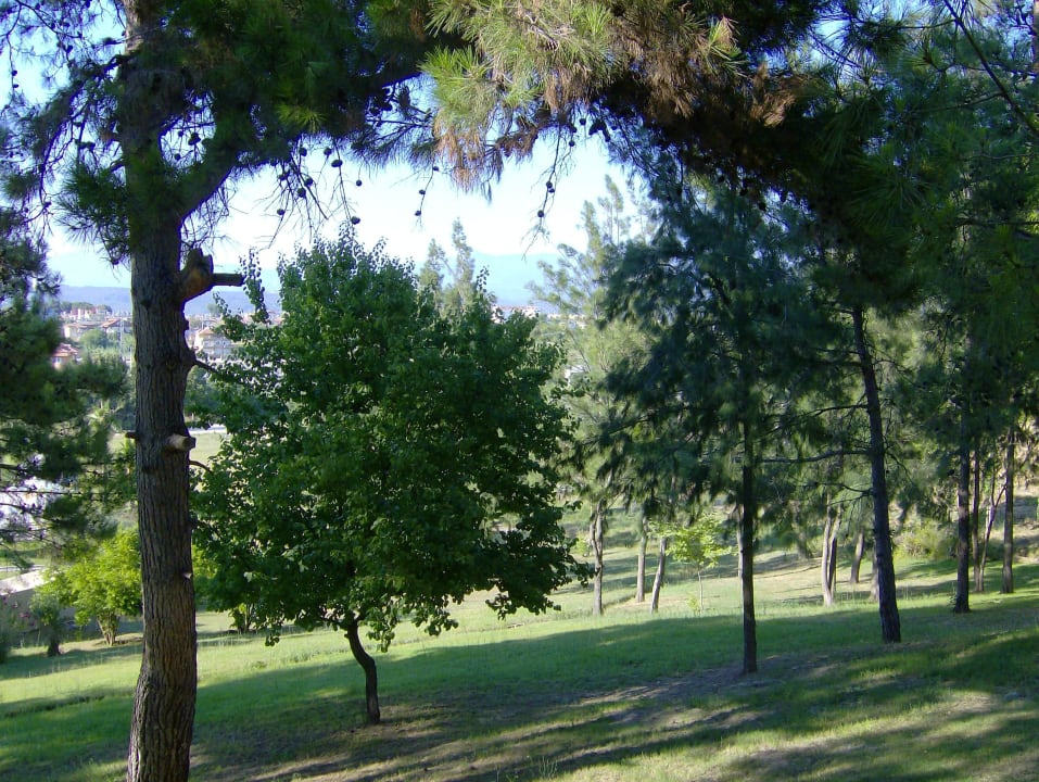 Ausblick vom Balkon. Club Sidelya Hotel