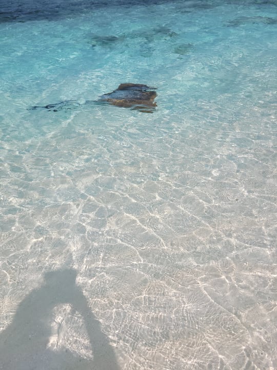 Strand Meeru Maldives Resort Island