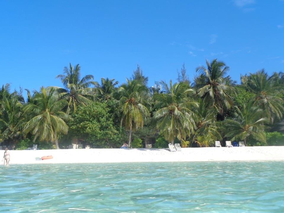 Der Strand Ostseite Summer Island Maldives