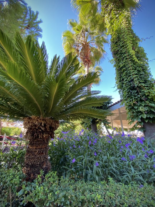 Gartenanlage Trendy Side Beach Hotel - Adults only