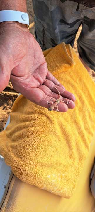 Sonstiges Lemon & Soul Makadi Garden