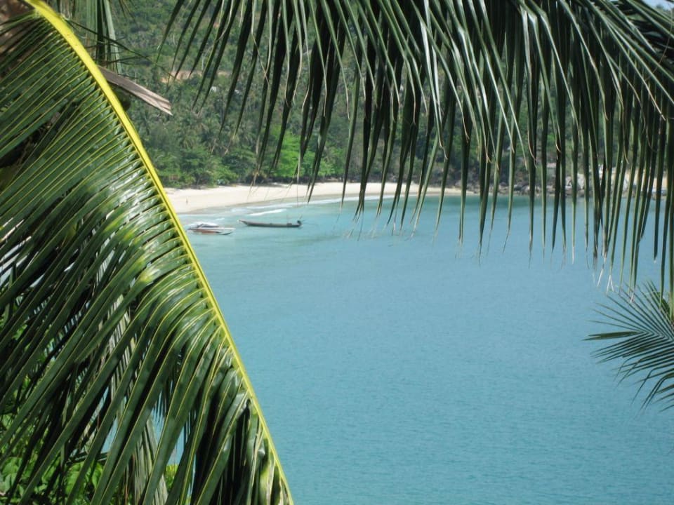 Ausblick auf den Strand Panviman Resort Koh Phangan