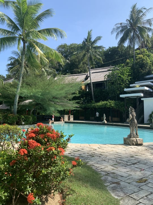 Pool Turi Beach Resort