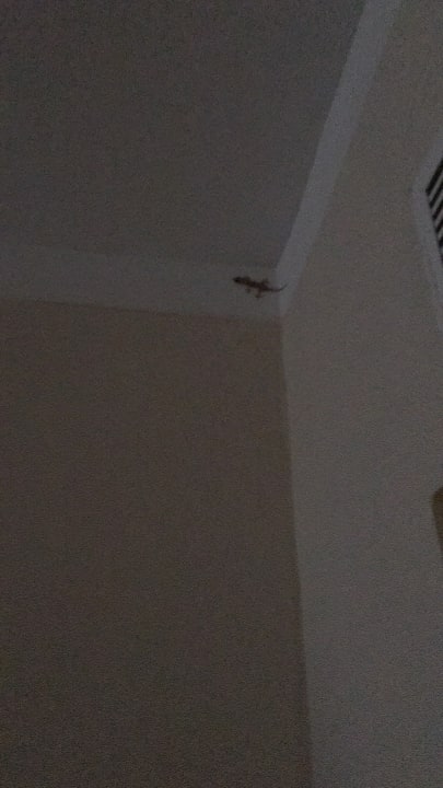 Sonstiges Bahia Principe Grand Aquamarine