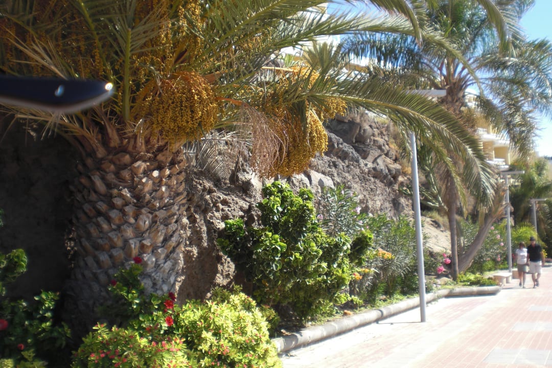 Die schöne Promenade Hotel Riu Palace Jandia