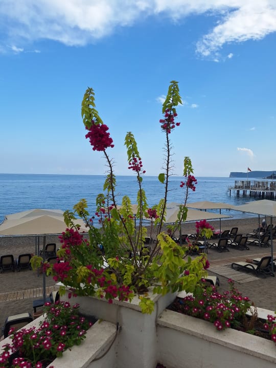 Ausblick Sherwood Exclusive Kemer