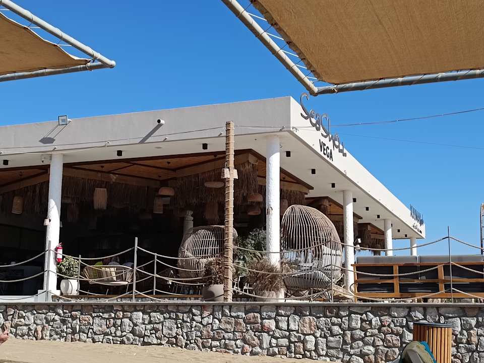 Strand Seashell Vega