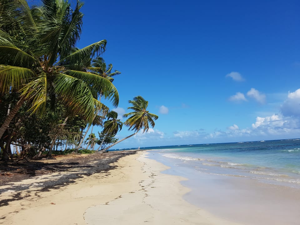 Strand Bahia Principe Grand El Portillo