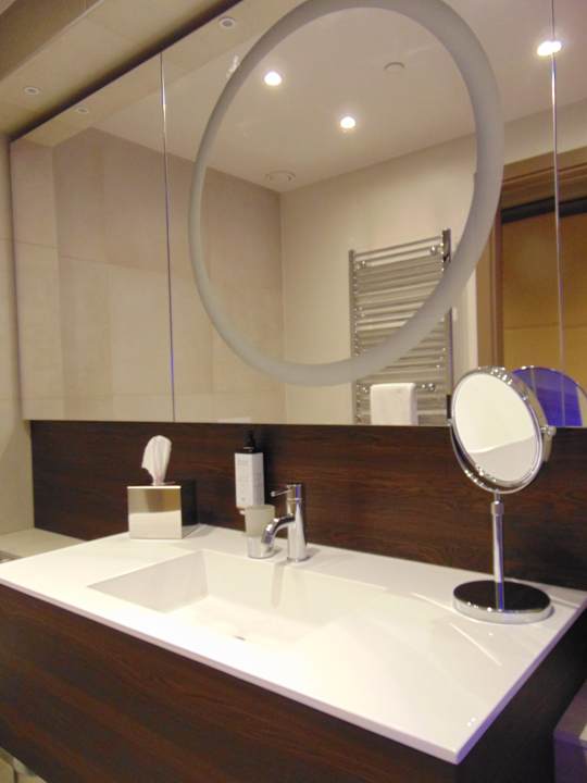 Zimmer Mercure Almaty City Center