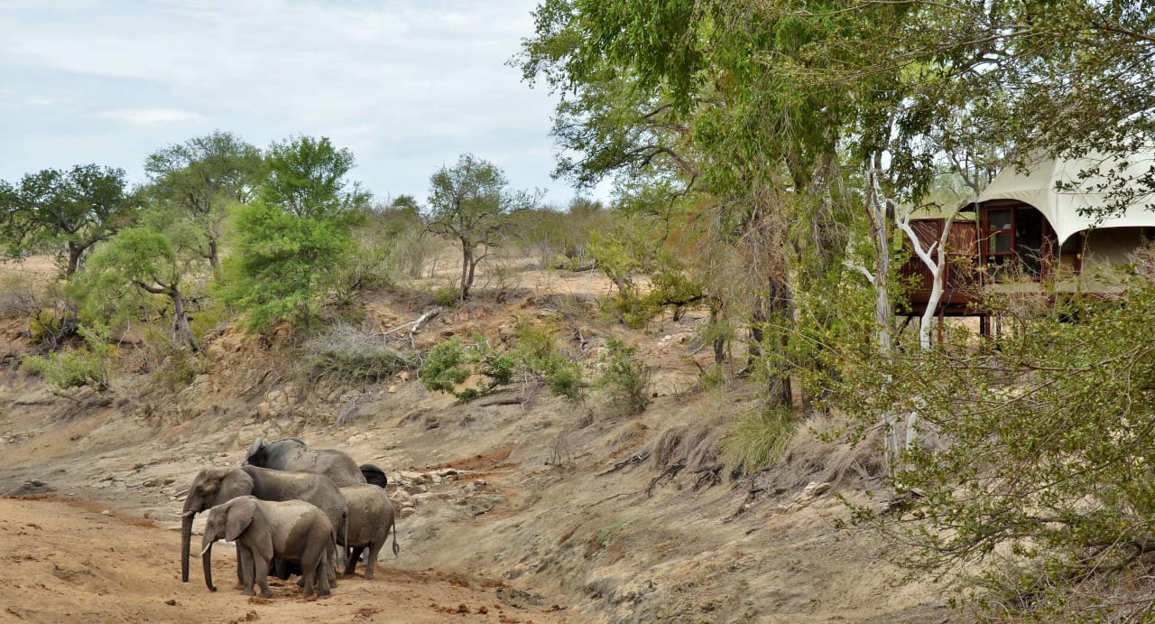 Ausblick Hamiltons Tented Camp - Lodge