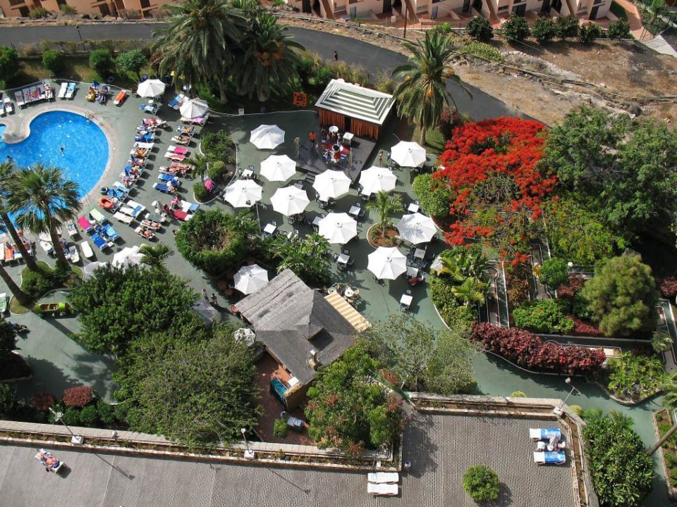 Princesa Dacil Sol Arona Tenerife