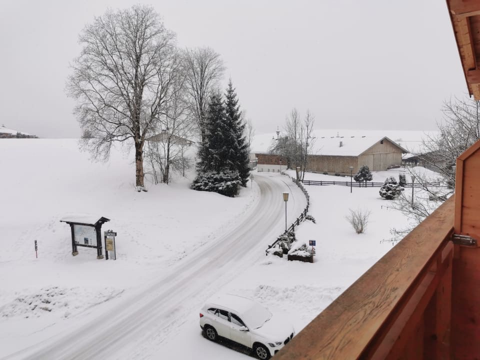 Ausblick Franzlhof Söll am Wilden Kaiser