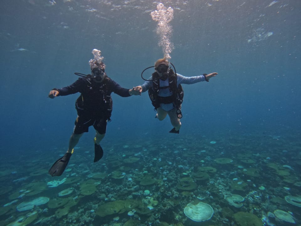 Sport & Freizeit Hotel Riu Palace Maldivas