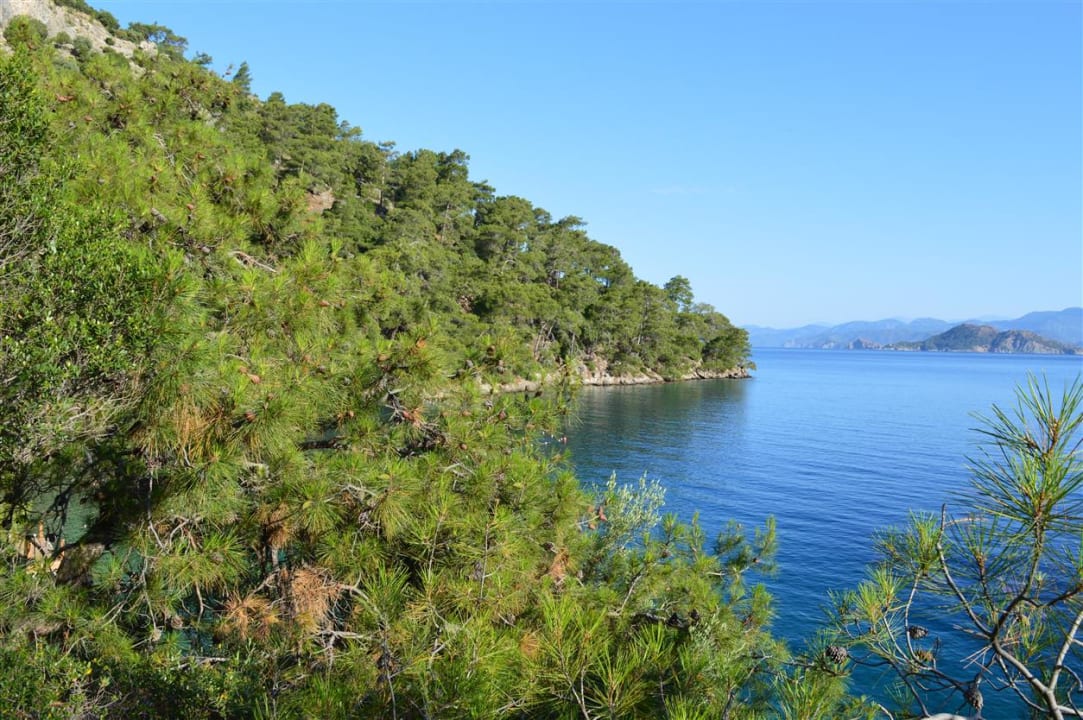 Strand Hillside Beach Club