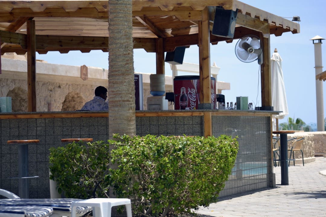 Poolbar Pickalbatros Citadel Resort