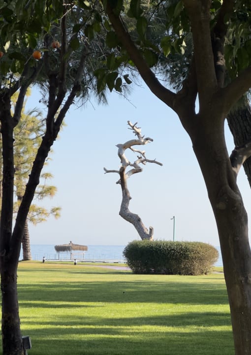 Gartenanlage TUI MAGIC LIFE Beldibi +16