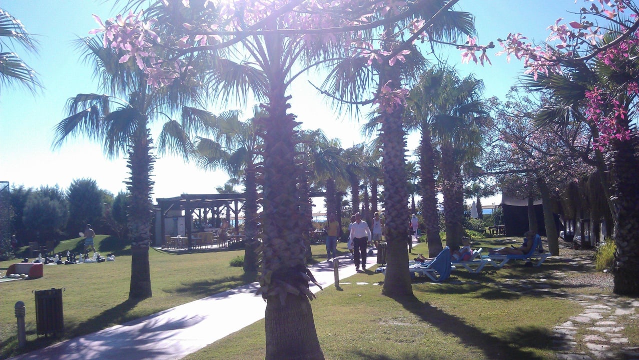 Der Weg zum Strand Saturn Palace Resort Hotel